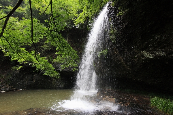 Foto água cachoeira stream alto