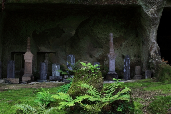 形成 洞窟 高い 密林 写真