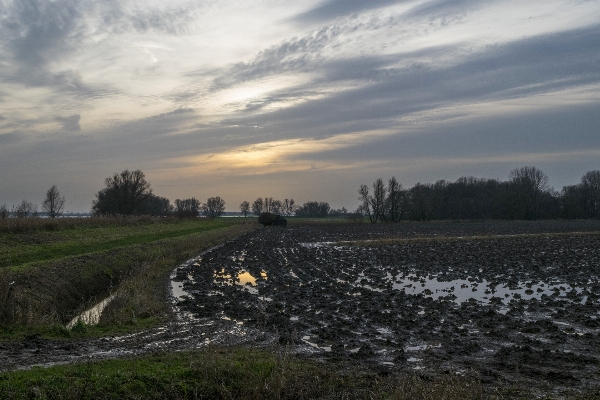 Landscape nature grass outdoor Photo