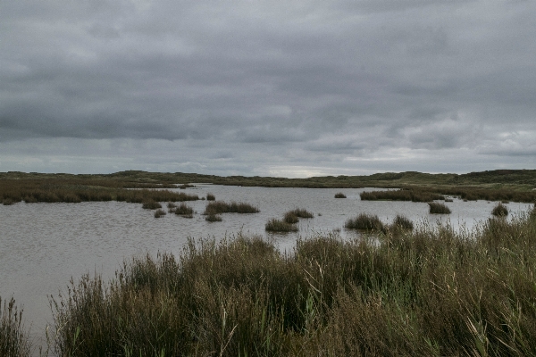 Beach landscape sea coast Photo