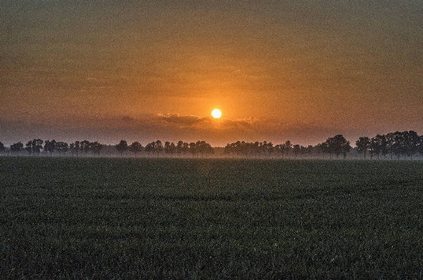 Nature grass outdoor horizon Photo