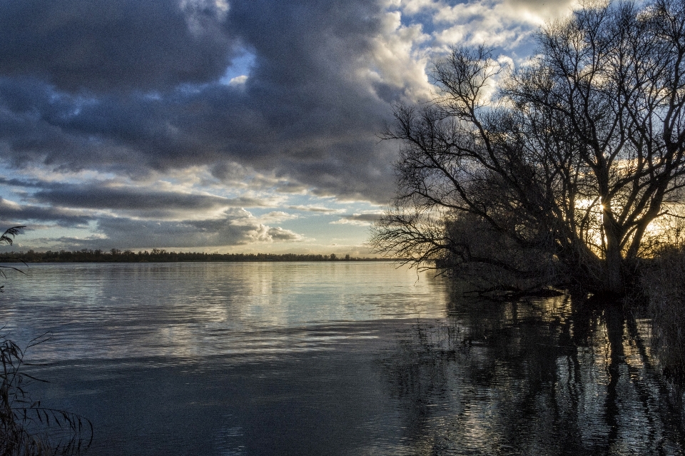 Paysage mer arbre eau