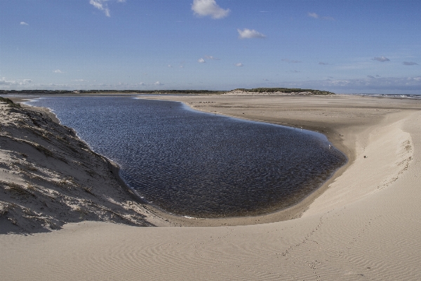 ビーチ 風景 海 海岸 写真