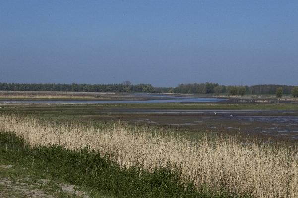 Landscape sea coast nature Photo