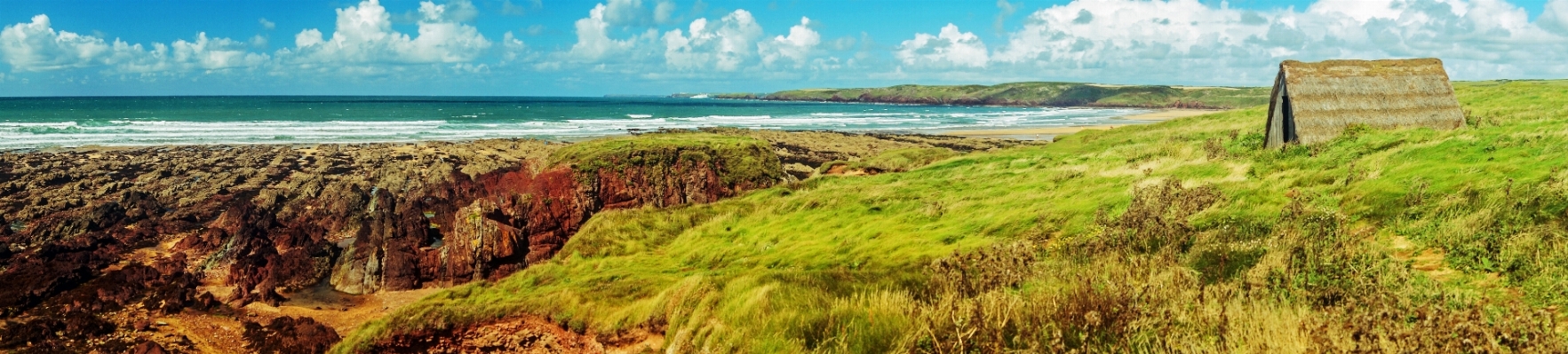 Sea coast water grass Photo