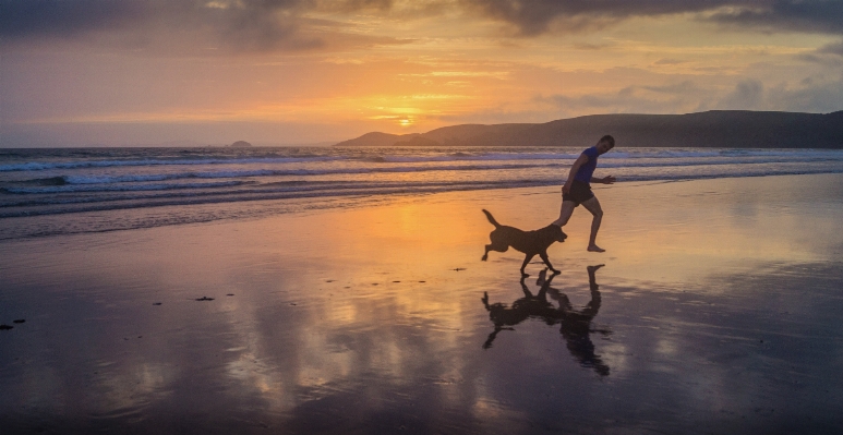 Man beach sea coast Photo