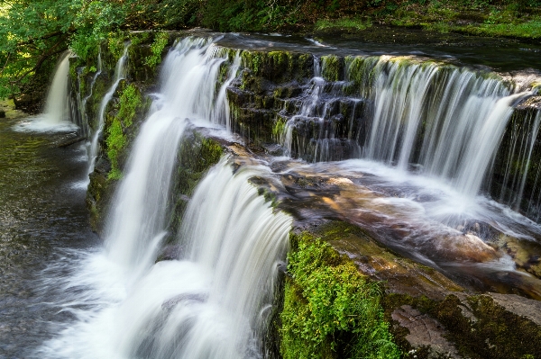 Tree water nature rock Photo