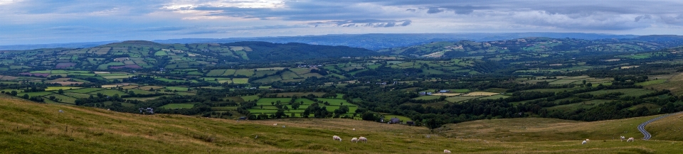 Paisaje césped horizonte montaña