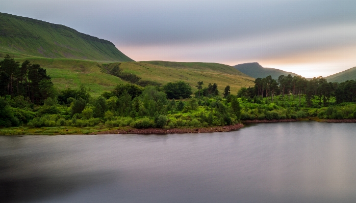 Landscape tree water nature Photo