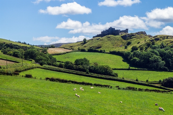 Landscape tree grass mountain Photo