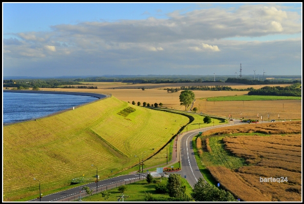 Coast horizon marsh field Photo