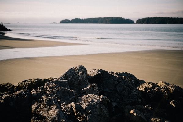 Beach sea coast water Photo