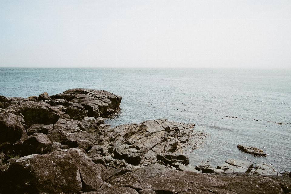 ビーチ 海 海岸 水