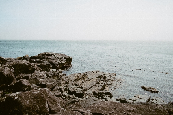 Beach sea coast water Photo