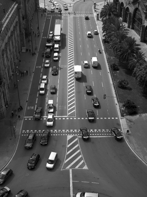 Bianco e nero
 strada traffico auto