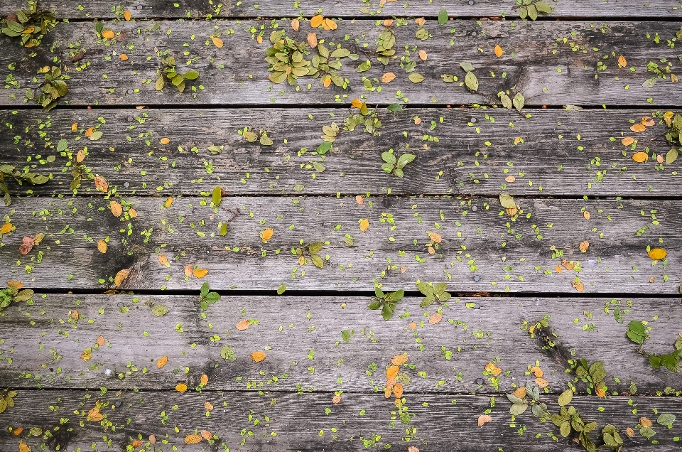 Plant deck texture plank