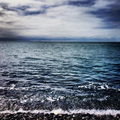 Beach sea coast water Photo