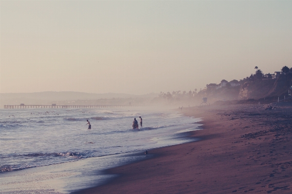 Beach sea coast sand Photo