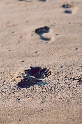 Beach sea sand rock Photo