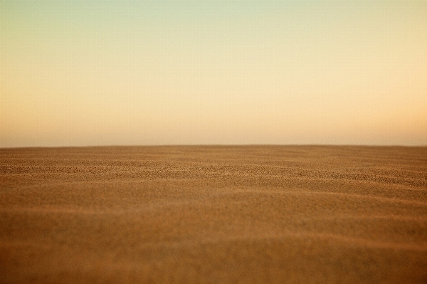 Landscape sand horizon sunrise Photo