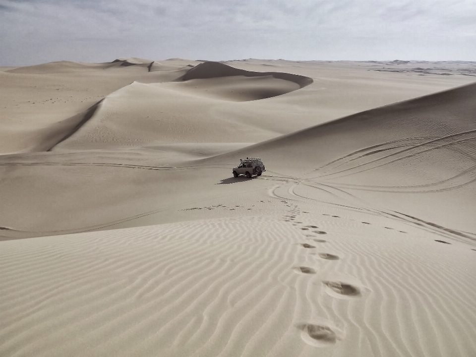 Landscape sand desert dune