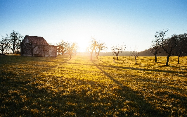 Zdjęcie Krajobraz drzewo natura trawa