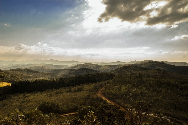 Landscape nature forest horizon Photo