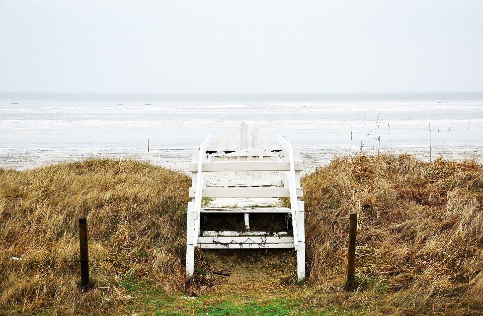 Beach sea coast ocean