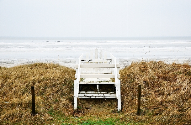 Beach sea coast ocean Photo