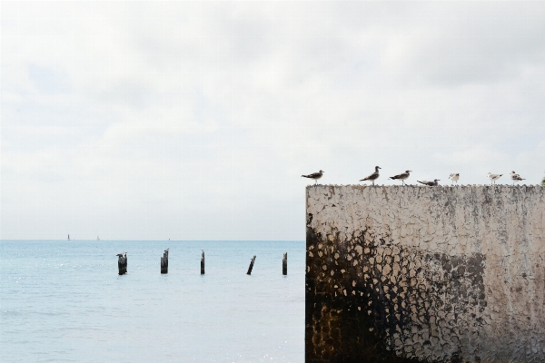 Beach sea coast water Photo