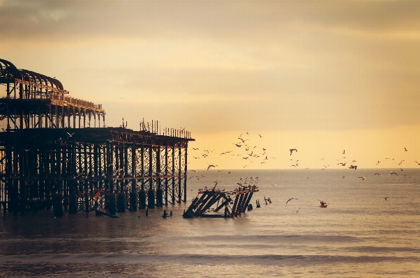 Beach sea coast sand Photo