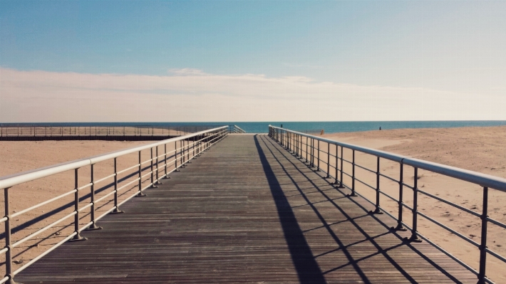 Beach sea coast ocean Photo