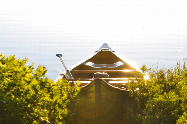 Foto Barca luce del sole mattina foglia