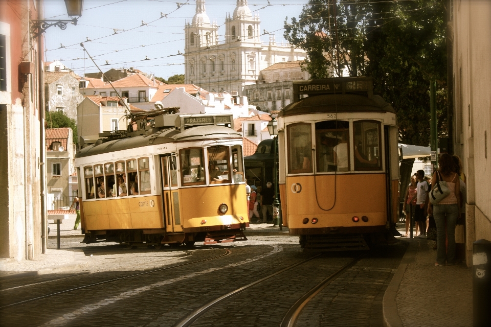 Wózek tramwajowy tramwaj
 transport