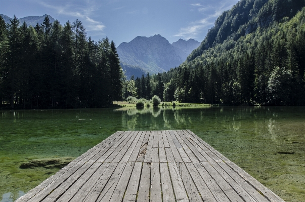 Nature forest wilderness mountain Photo