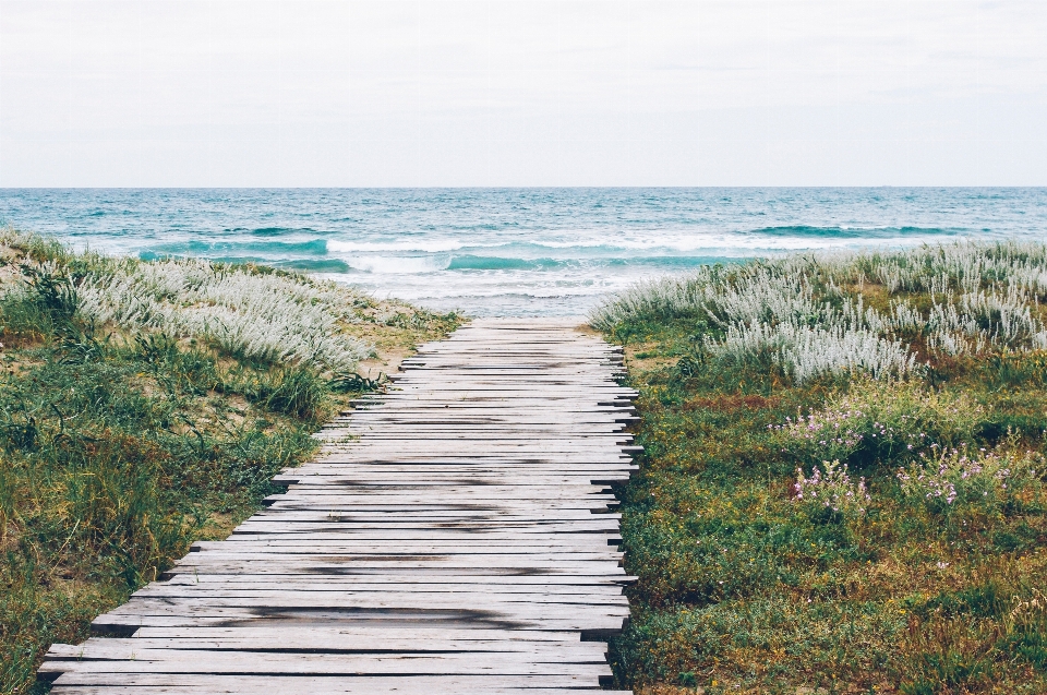 Beach sea coast path