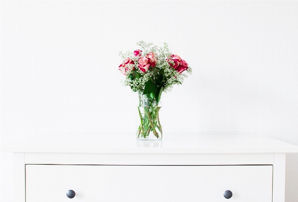 Table white flower petal Photo