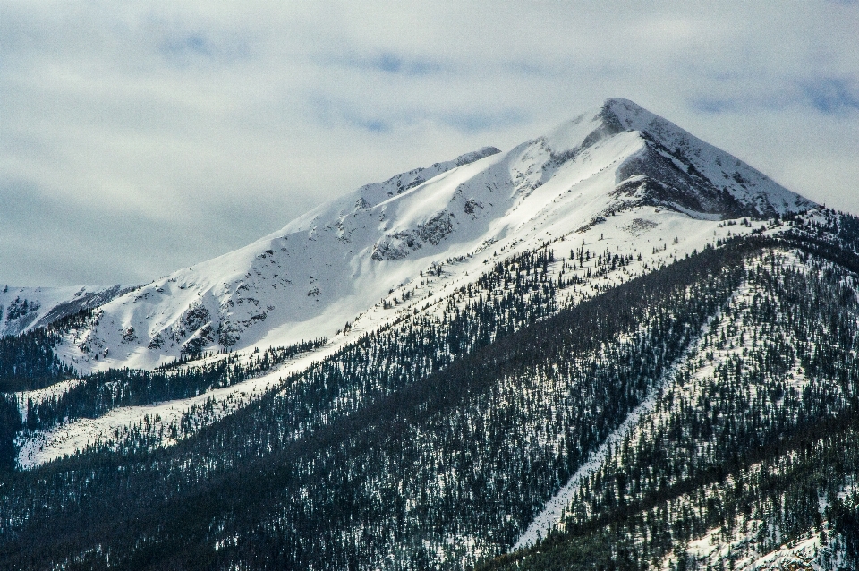 Montagna nevicare freddo inverno