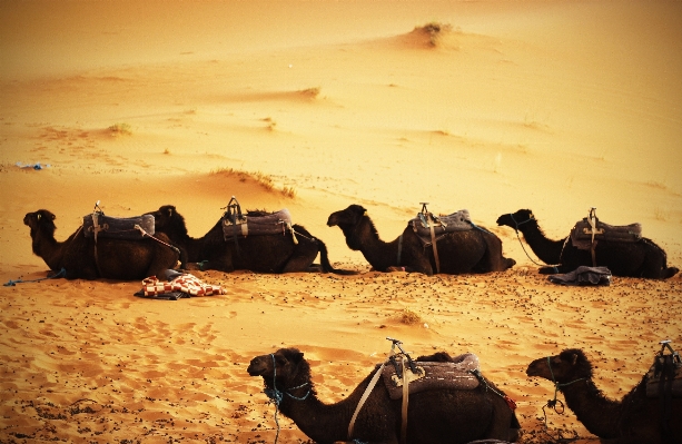 Landscape sand sunset morning Photo