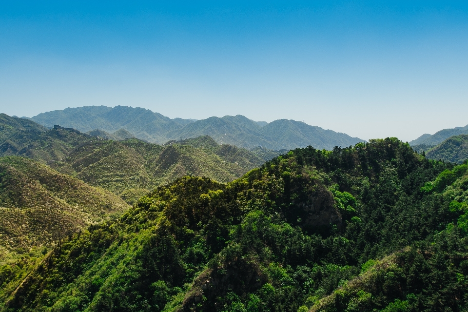 Paisaje árbol naturaleza bosque