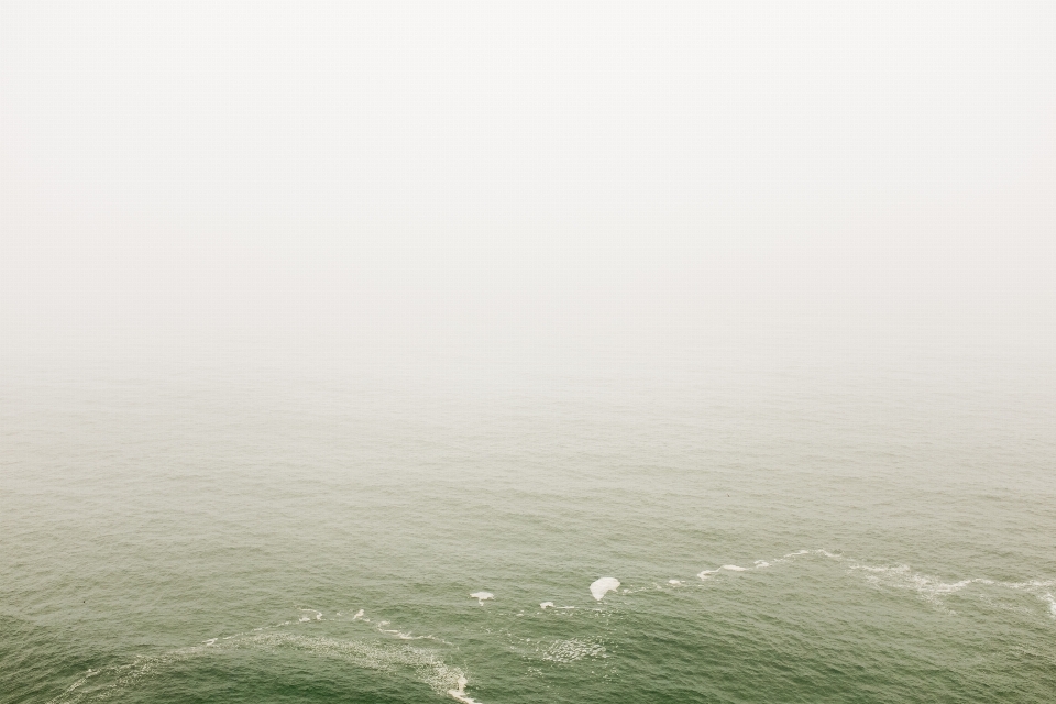 海 海岸 水 海洋