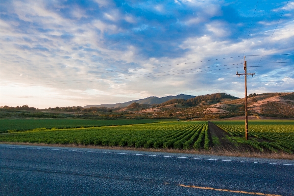 Landscape nature grass horizon Photo