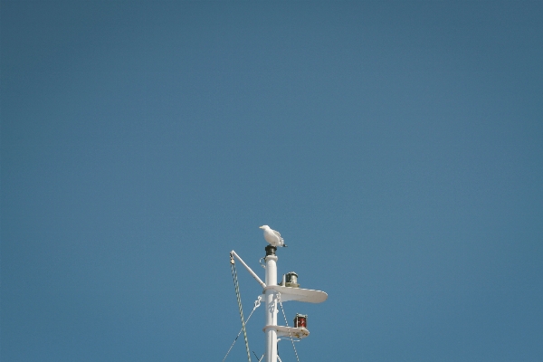 Foto Mar nuvem céu vento