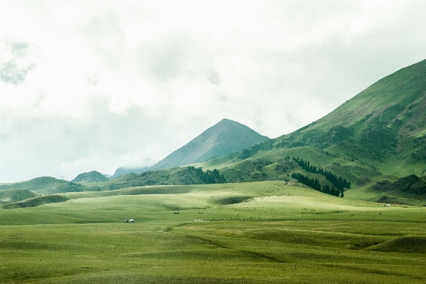 Foto Paisaje naturaleza césped montaña