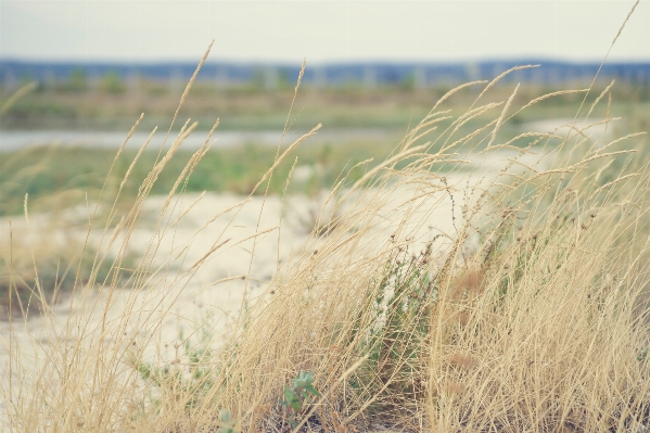 Beach landscape sea coast Photo