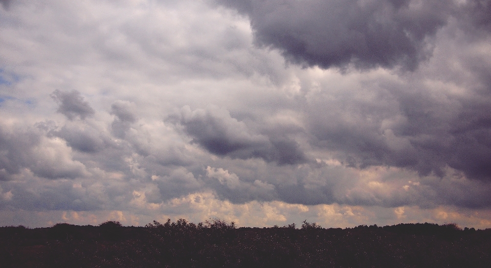 Horizonte nuvem céu pradaria
