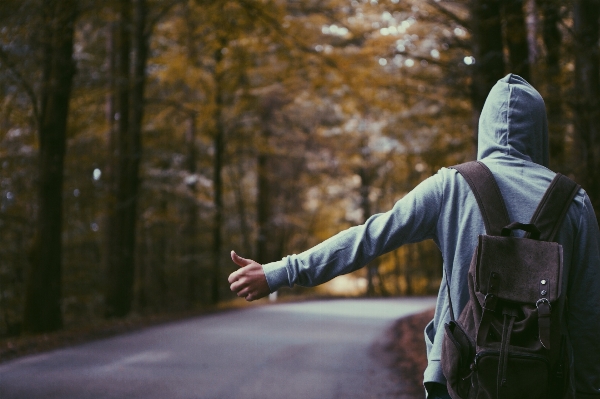 Forest person spring autumn Photo