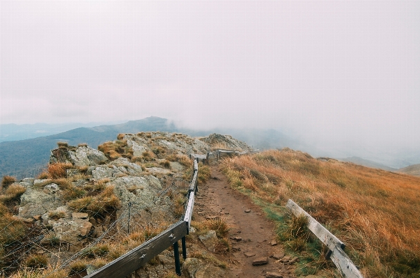 Foto Paesaggio costa sentiero a piedi