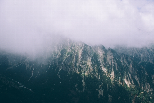 Nature forest mountain snow Photo