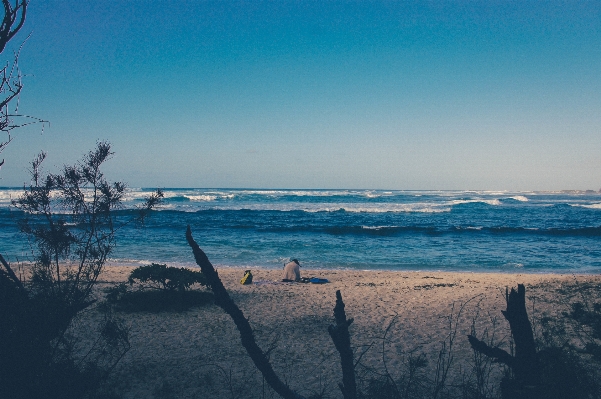 Beach sea coast water Photo